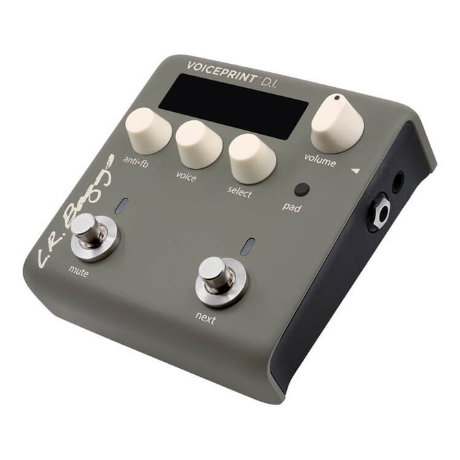 LR Baggs Voiceprint DI Acoustic Guitar IR Pedal | Northeast Music Center Inc.