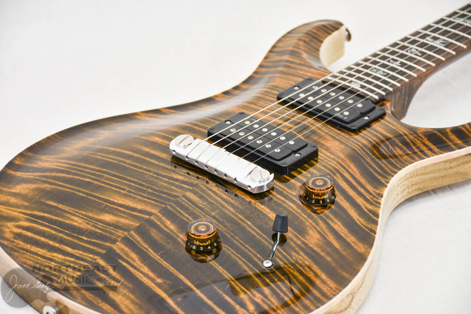 PRS Custom 24 Stoptail Limited Edition Wood Library Flame Maple Tiger Eye Stained Neck (s/n:9256) | Northeast Music Center Inc.