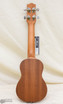 Ibanez UKS100 Soprano Ukulele - Open Pore Natural | Northeast Music Center Inc.