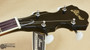 Ibanez B-50 5-String Banjo in Natural | Northeast Music Center Inc.