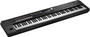 Roland RD-2000 88-key Stage Piano | Roland Digital Keyboards - Northeast Music Center inc. 