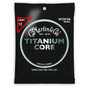 C.F. Martin Titanium Core Light Guage Acoustic Gutiar Strings (12-55)