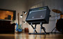 BOSS BAS-1 Adjustable Amplifier Stand | Northeast Music Center Inc.