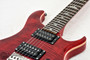 PRS SE Custom 24 Limited Run - Ruby (s/n: 0113) | Northeast Music Center Inc.