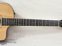 Taylor 150ce 12-String Acoustic/Electric Guitar | Northeast Music Center Inc.