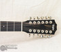 Taylor 254ce Plus Acoustic/Electric 12-String Guitar | Northeast Music Center Inc.