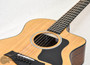 Taylor 254ce Plus Acoustic/Electric 12-String Guitar | Northeast Music Center Inc.