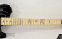 PRS SE NF53 - Black Doghair (s/n: 3210) | Northeast Music Center Inc.