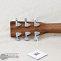 C.F. Martin X Series DX2E Brazilian Acoustic/Electric Guitar | Northeast Music Center Inc.