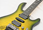 PRS SE Chleo Herman Li Signature - Mantis Burst (s/n: 7874) | Northeast Music Center Inc.