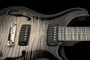 PRS Private Stock 30th Anniversary "Birds of a Feather" Hollowbody I Frostbite Glow | Northeast Music Center Inc.