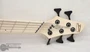 Dingwall Combustion C3 5 String Bass in Whalepool Burst (s/n:9599)) | Northeast Music Center Inc.