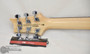PRS SE 24-08 Eriza Verde (s/n:6073) | Northeast Music Center Inc.