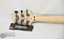 PRS SE Chleo Herman Li Signature Orchid Dusk (s/n: 0576) | Northeast Music Center Inc.