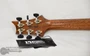 PRS Custom 24 Wood Library Artist Flame Maple & Brazilian Rosewood  Frostbite ( s/n: 3405) | Northeast Music Center Inc.