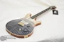 PRS McCarty Trem Wood Library Artist Flame Maple Frostbite (s/n:3033) | Northeast Music Center Inc.