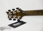 PRS Custom 24 Stoptail Limited Edition Wood Library Flame Maple Tiger Eye Stained Neck (s/n:9256) | Northeast Music Center Inc.