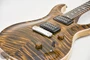 PRS Custom 24 Stoptail Limited Edition Wood Library Flame Maple Tiger Eye Stained Neck (s/n:9256) | Northeast Music Center Inc.