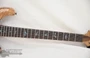 PRS Custom 24 Private Stock Flame Mango Top Natural Fat Back (s/n:4514) | Northeast Music Center Inc.