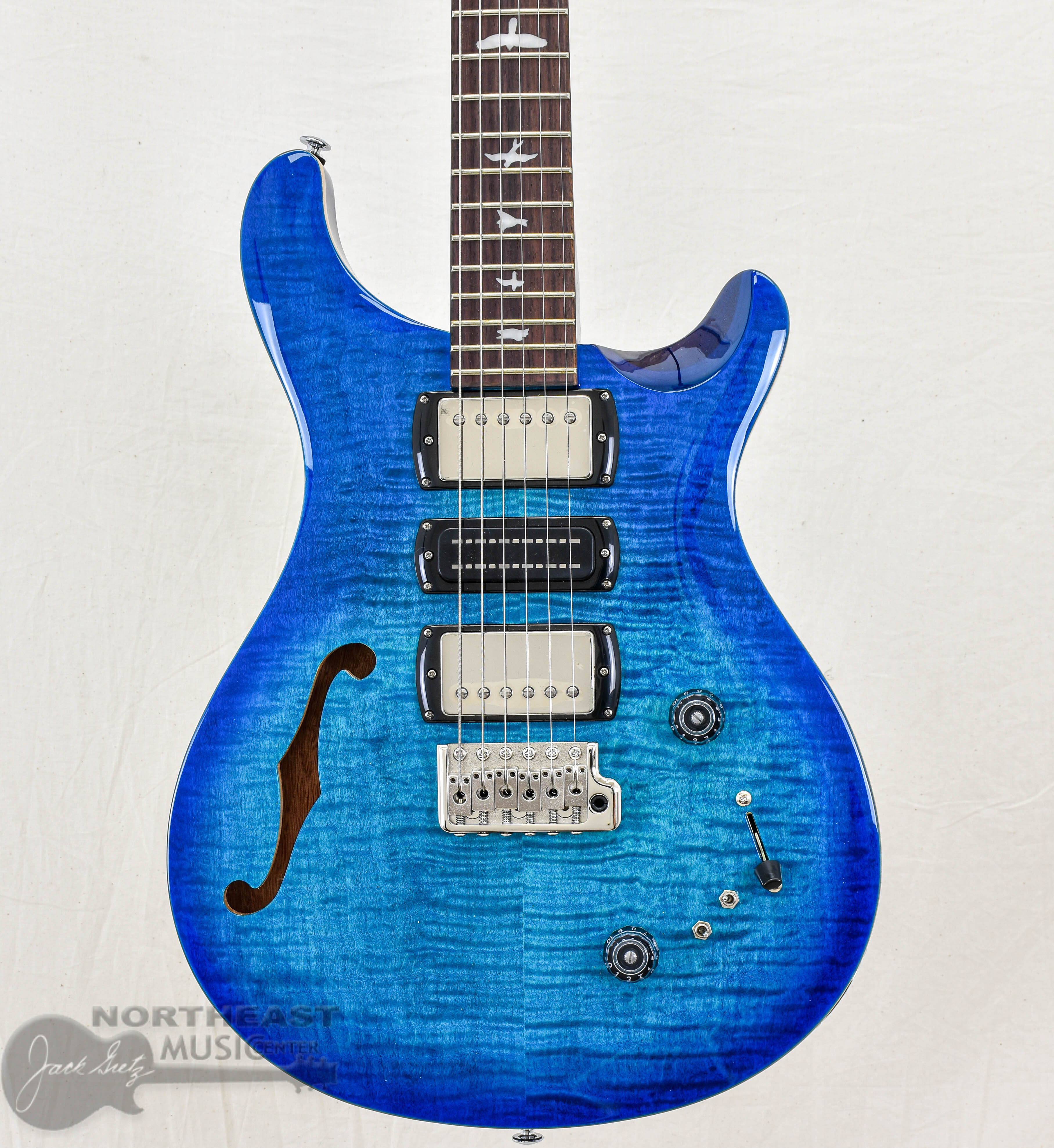 SE Special Semi-Hollow