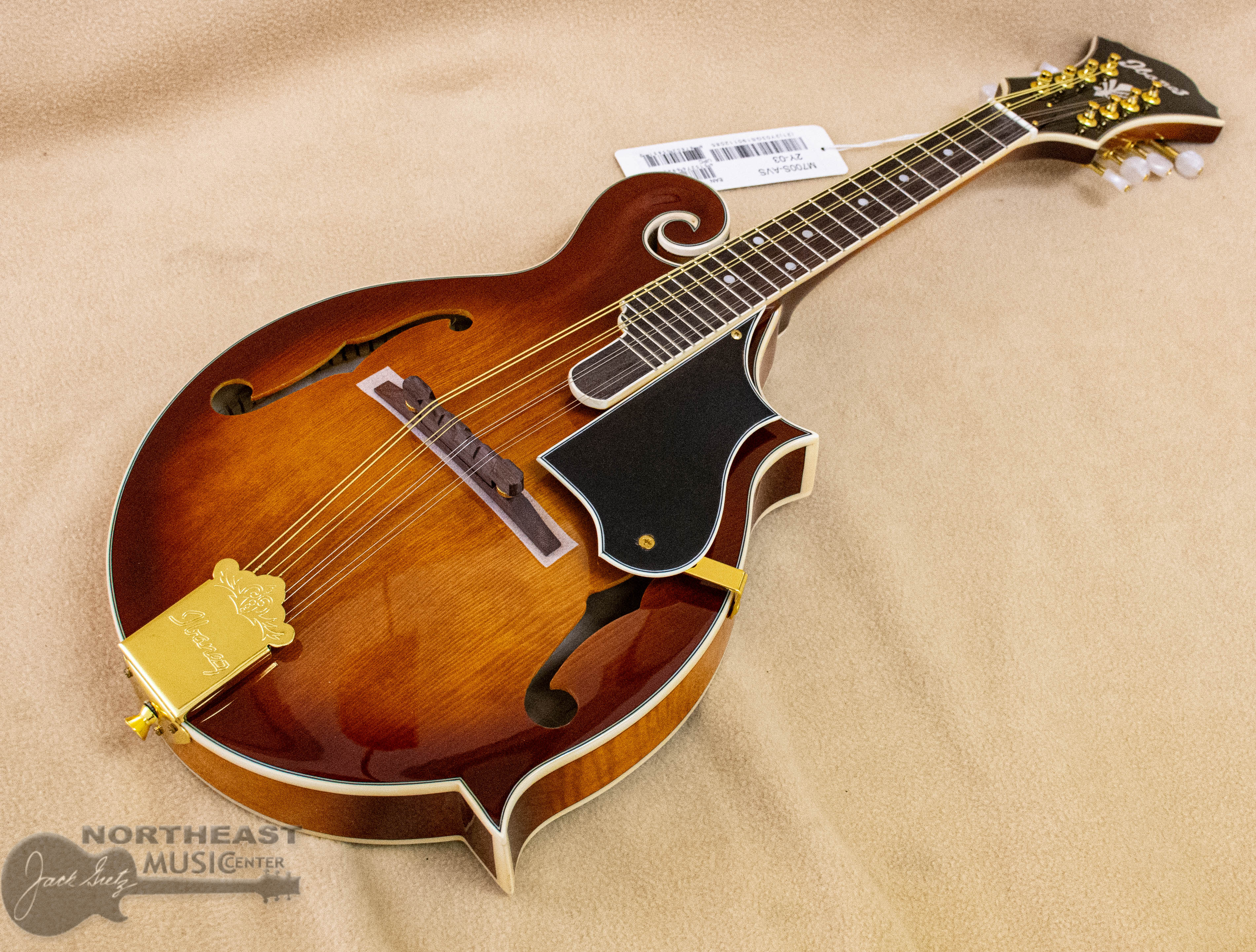 「姫林檎」、mix media，木板和紙、額装つき Ibanez M700 Mandolin in Antique Violin Sunburst | Northeast Music