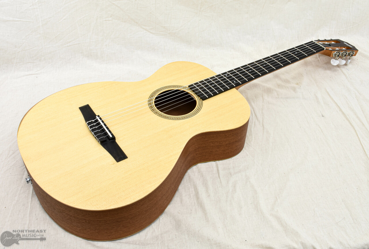 Taylor - Academy 12e-N Nylon