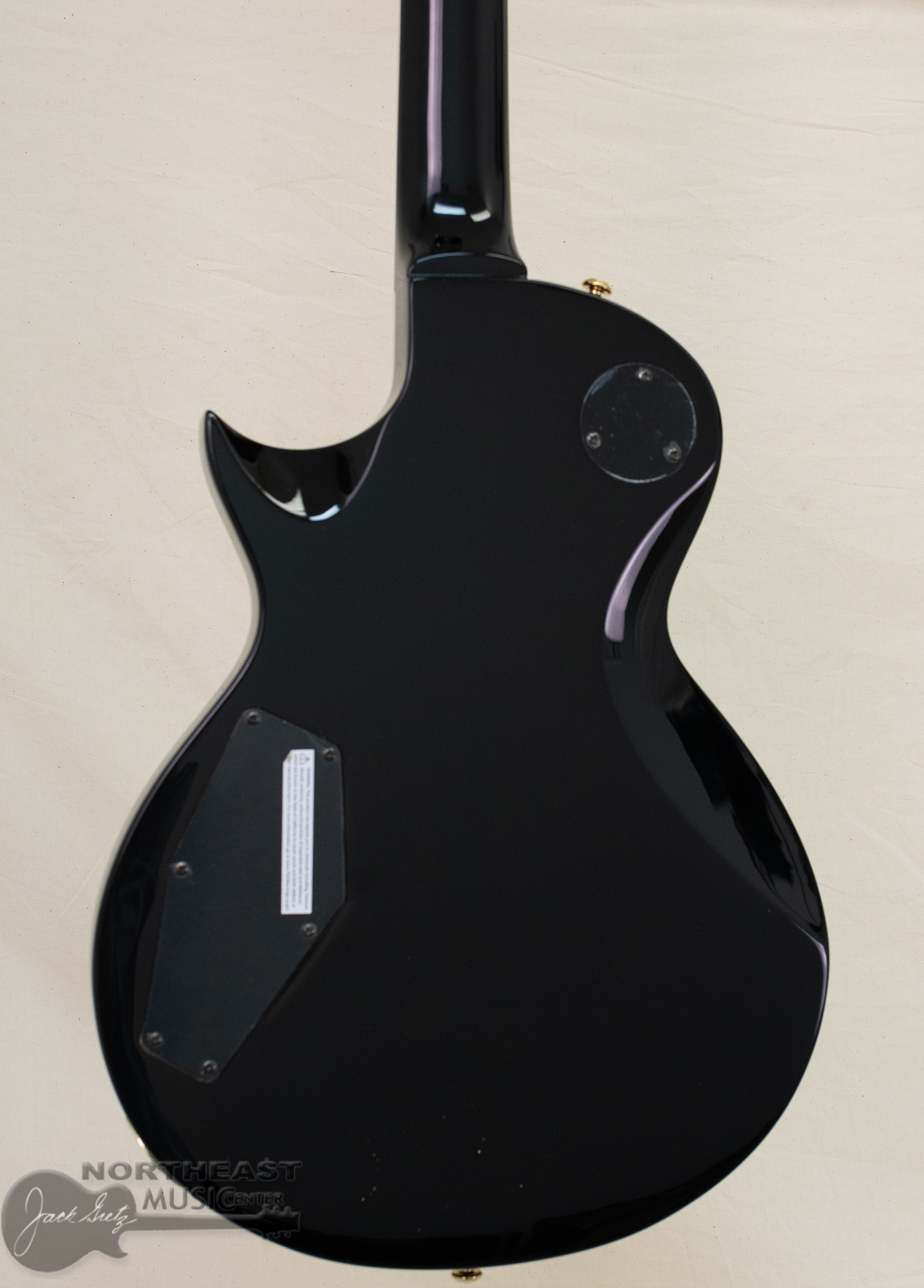 ESP/LTD EC-256 - Black w/ Gold Hardware | Northeast Music Center Inc.