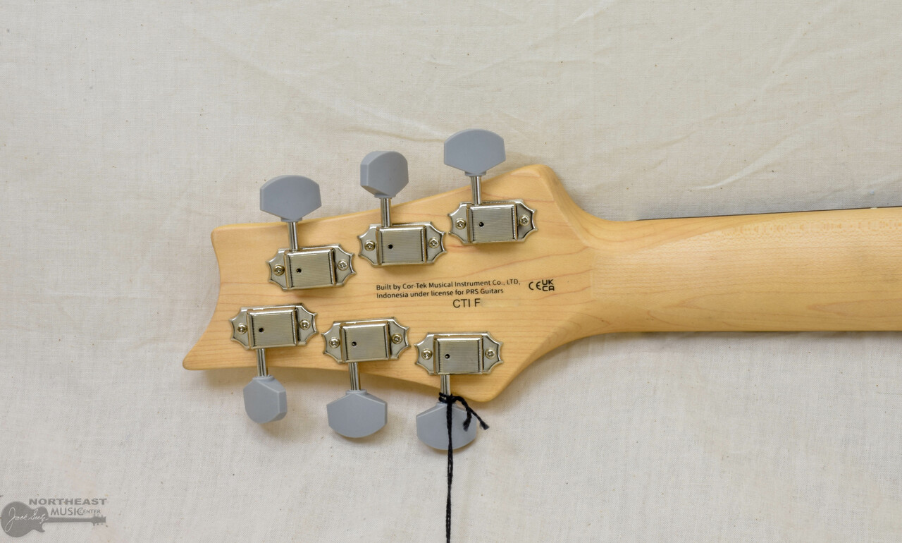 タカミネギターmodel T-P2N - アコースティックギター