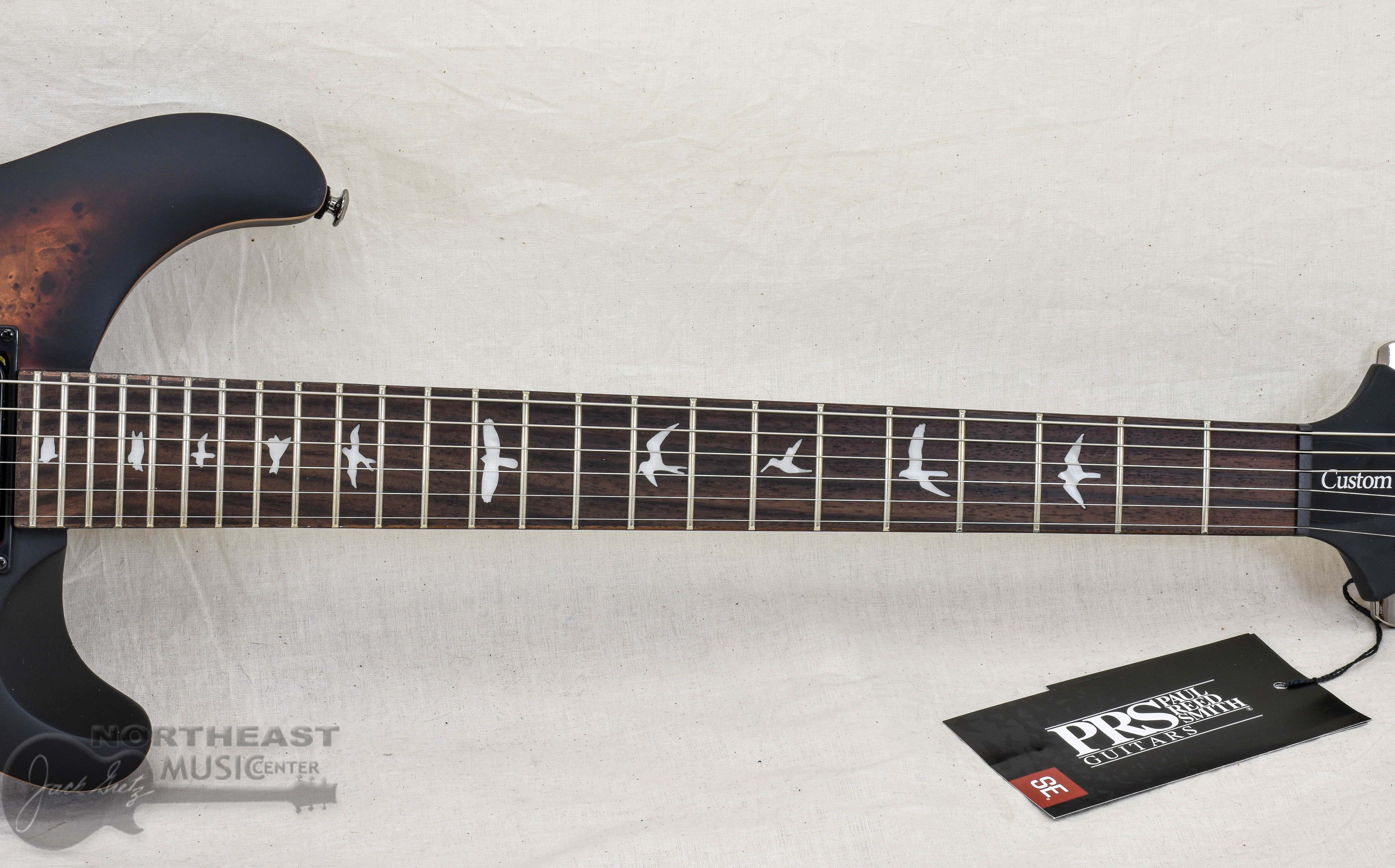 PRS SE custom (管理テ) CTIG110431-10__35584.
