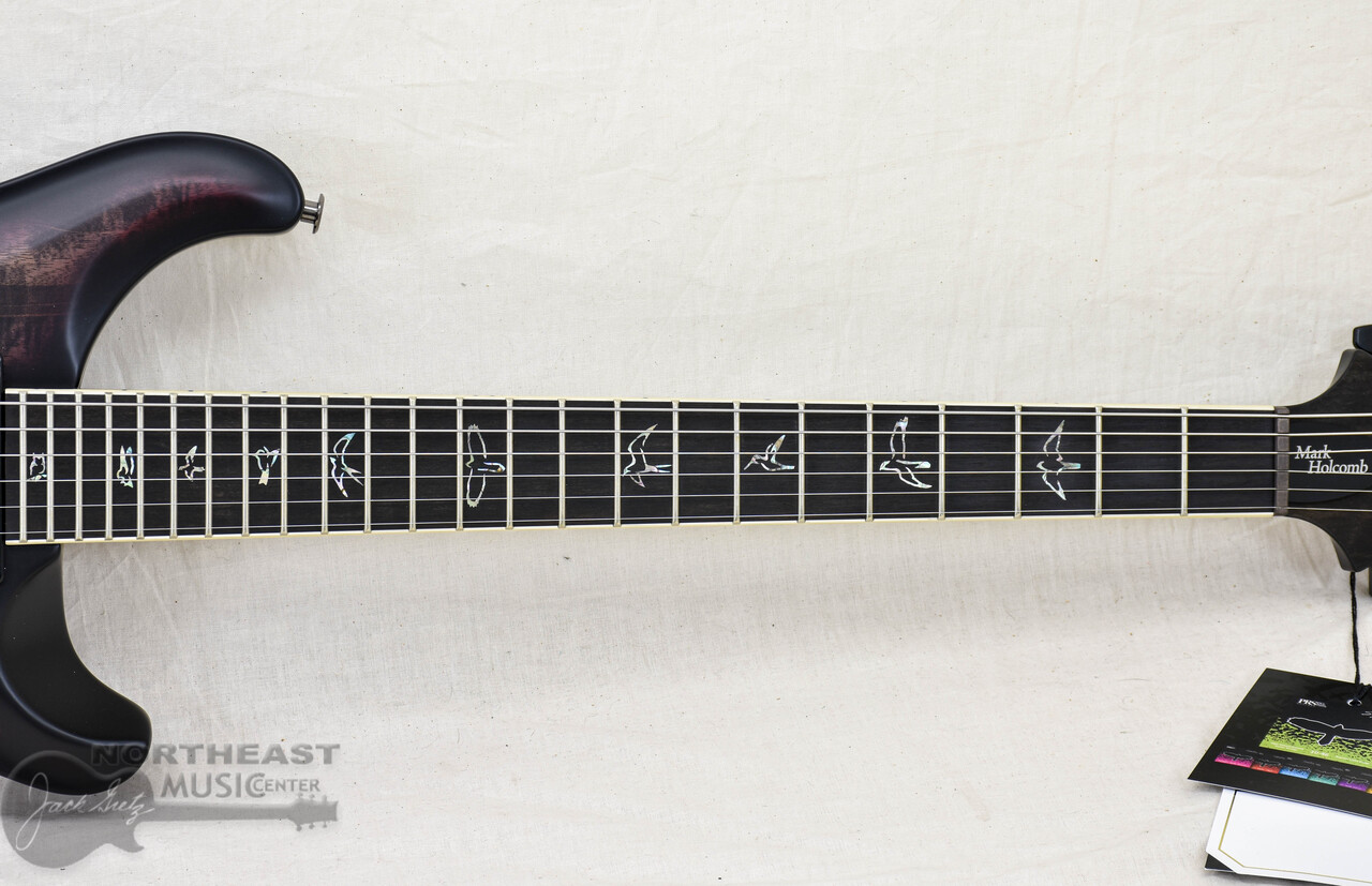 PRS Guitars Mark Holcomb Signature Model - Holcomb