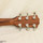 Taylor 314ce Left-Handed Acoustic/Electric Guitar | Northeast Music Center Inc.