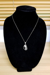 Sterling Silver Aquarius Zodiac Sign DC Pendant Necklace