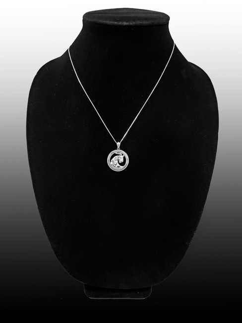 Sterling Silver Zodiac Medallion Satin DC Pendant Necklace