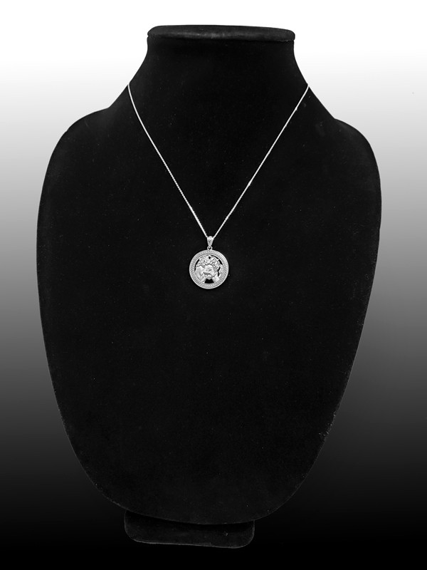 Sterling Silver Zodiac Medallion Satin DC Pendant Necklace
