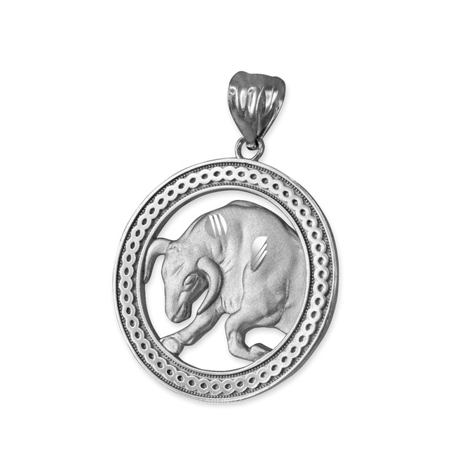 Sterling Silver Zodiac Medallion Satin DC Pendant Necklace
