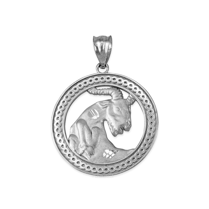 Sterling Silver Zodiac Medallion Satin DC Pendant Necklace