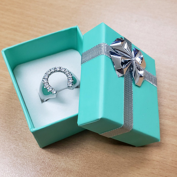 Sterling Silver Lucky Horseshoe CZ Men's Ring