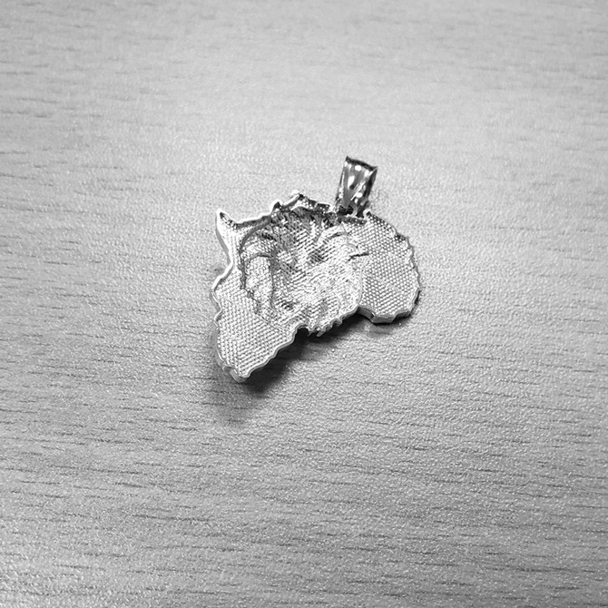 Sterling Silver Africa Lion Pendant Necklace