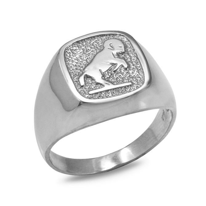 Sterling Silver Zodiac Sign Mens Square Signet Ring