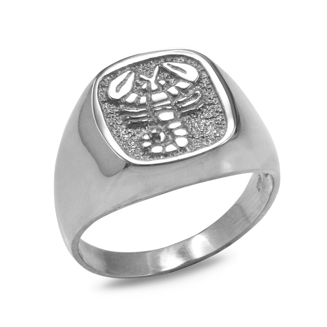 Sterling Silver Zodiac Sign Mens Square Signet Ring