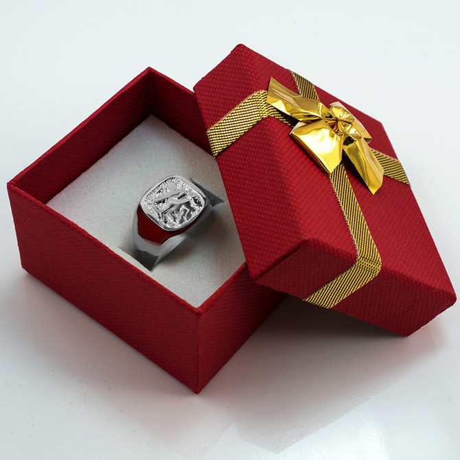 Sterling Silver Zodiac Sign Mens Square Signet Ring