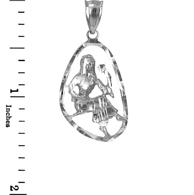 Sterling Silver Virgo Zodiac Sign DC Pendant Necklace