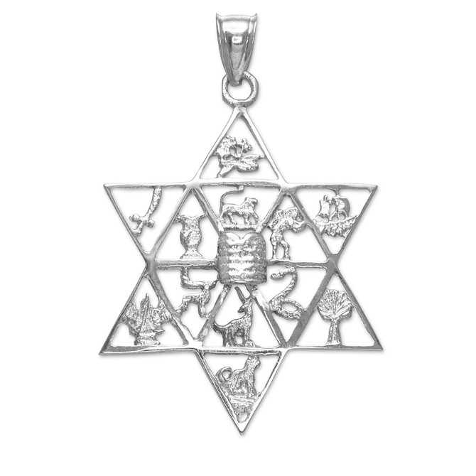 Sterling Silver Star of David 12 Twelve Tribes of Israel Pendant