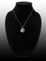 Sterling Silver Zodiac Medallion Satin DC Pendant Necklace