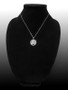 Sterling Silver Zodiac Medallion Satin DC Pendant Necklace