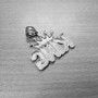 Sterling Silver Crown King Mens Hip-Hop DC Pendant