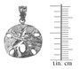 Sterling Silver Sand Dollar DC Charm Necklace