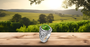Sterling Silver Celtic Band Green Copper Turquoise Statement Ring