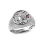 Sterling Silver CZ Birthstone Zodiac Ring
