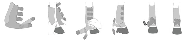 For information on how to properly place your Iconoclast® Orthopedic Support Boots on your horse examine this diagram or watch the following video.